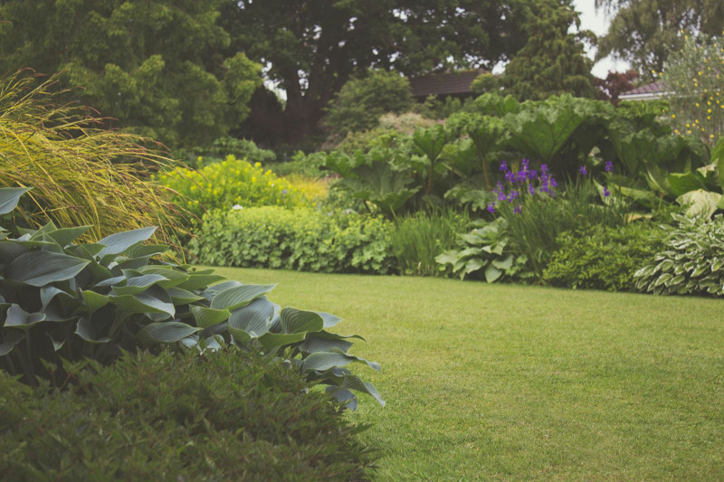 Professional lawn care services in Steinbach for beautiful backyards